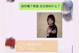 海曙企业清欠服务